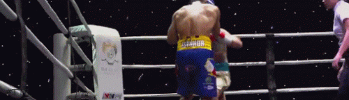estrada.gif