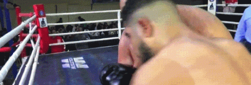 hassanahmedko.gif