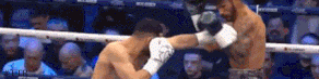 jorgelinaresslomo.gif