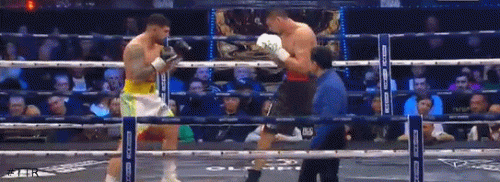 mann1.gif