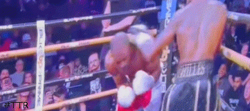 neson.gif