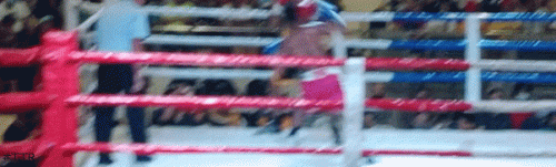 tenorio.gif