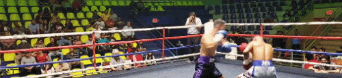 vivas.gif