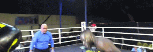 wallynadji.gif