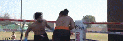raviii.gif