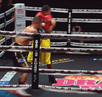 tiboyko543543.gif