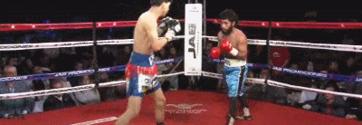 adoniskd435.gif