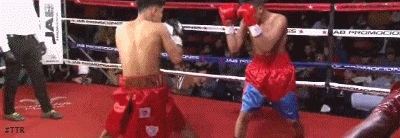 bryanko543242.gif