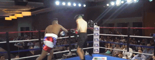 cruzatko5645654.gif