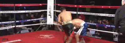 saultko56345.gif