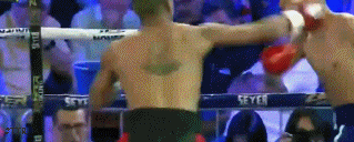angel43523.gif