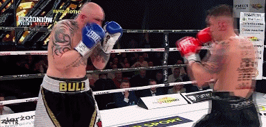 bullgottkod333.gif