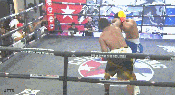 gamboarun534543.gif