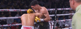 koreano43243.gif