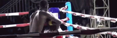 okoutko566754.gif