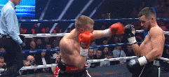 u4rvan9ov54534.gif