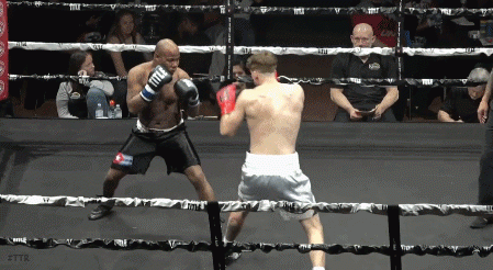 stiertko54345.gif