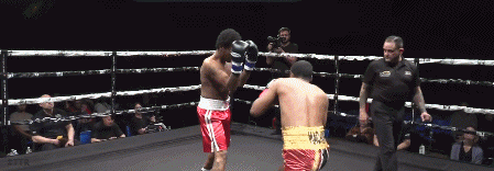 vallejo4534.gif