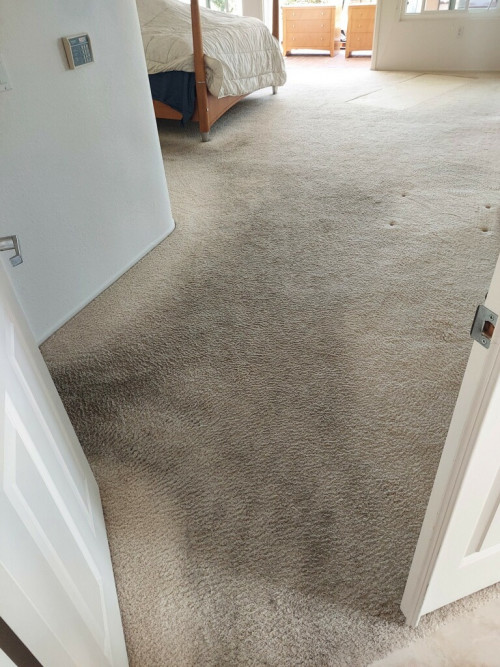 Carpet-Cleaning-Service-in-Vista973b0323bcf7b98c.jpg
