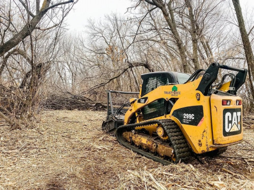 edmonton-tree-clearing.jpg