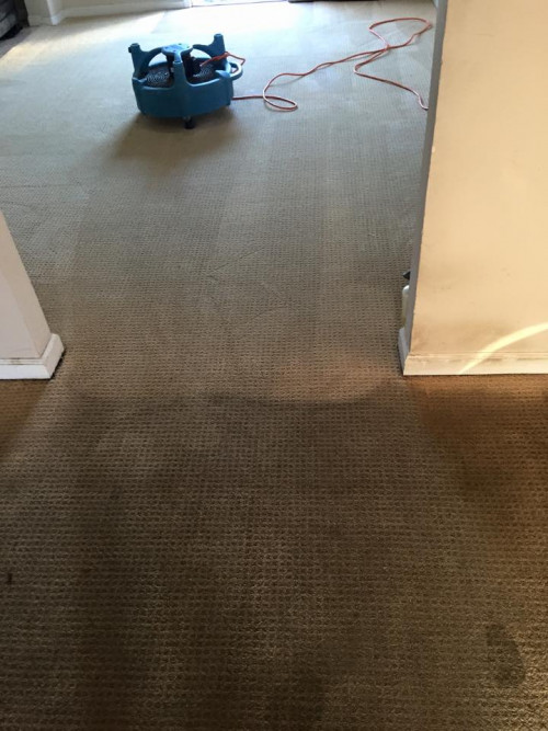 carpet-cleaning-in-Murrieta36eac104aa352ed2.jpg