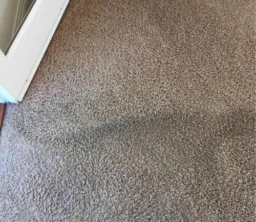 carpet-cleaning-near-me311f6c89dda2f319.jpg