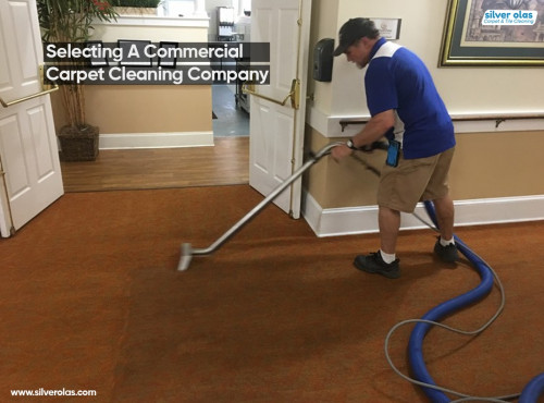 carpet-cleaning-near-me34e60bb8480d12ec.jpg