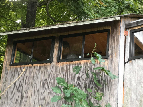 Deer-Stand-Windows--Doors-Mansfield-TX.jpg
