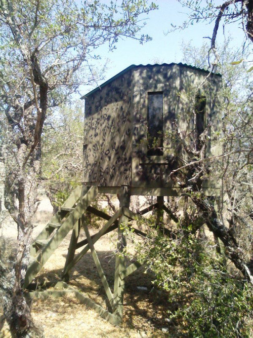 Deer-Shooting-House-Windows--Doors.jpg