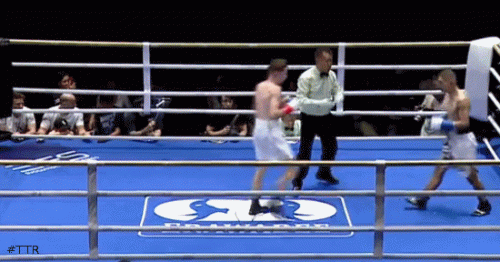 fantoneko3333.gif