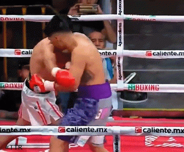 leoncito432432.gif