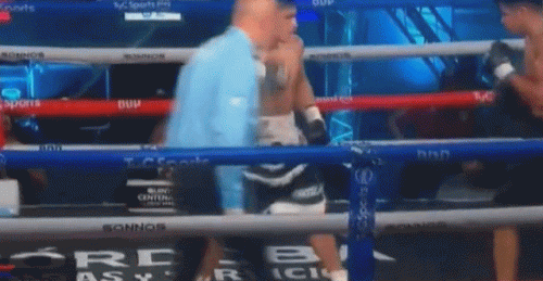 salvaje5443.gif