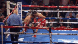 ezgif-2-68dc49dd05.gif