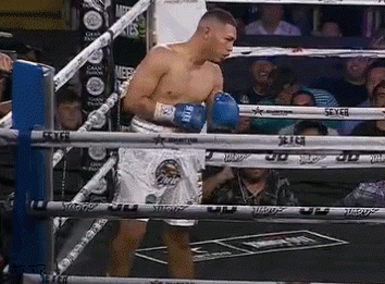 medinaKO432423.gif
