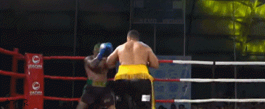 williamUDheavyweight3432423.gif