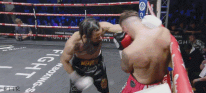 woodstock543543.gif