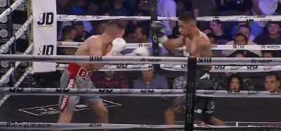 yoalitko543534.gif