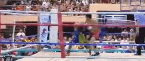 brilloko56785.gif