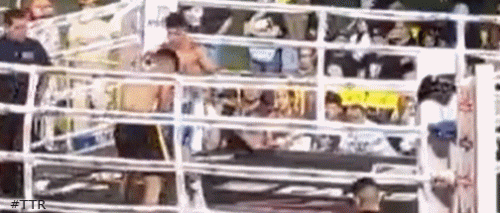 contrerasko543543.gif