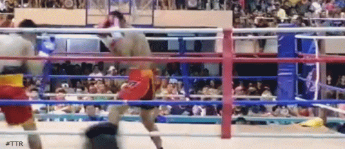 dadivadsko1kor42534.gif