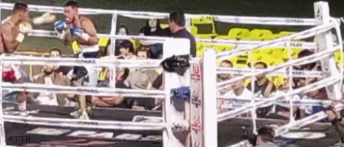 huesosktfo879865987.gif
