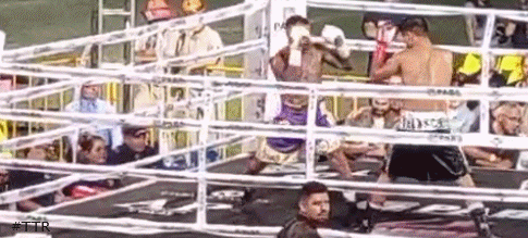 komex4332432.gif
