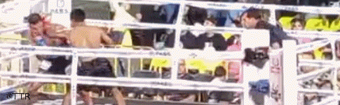 oscarroblestko543543.gif