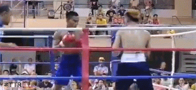 parillatko543543.gif