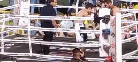 perropedroza432432.gif