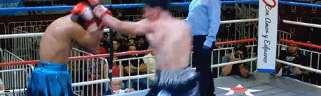 popcadec4534543.gif