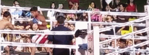 pumalopeztko65435432.gif