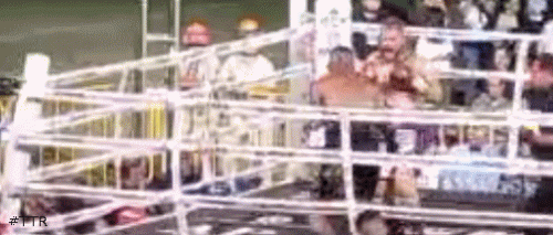 rusoko54543.gif