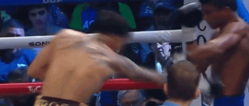 sansontko543543.gif
