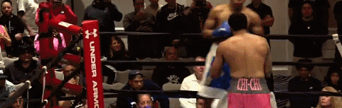 elvis4543534543.gif